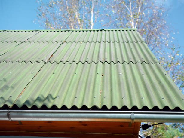 leaf guards for rain gutters